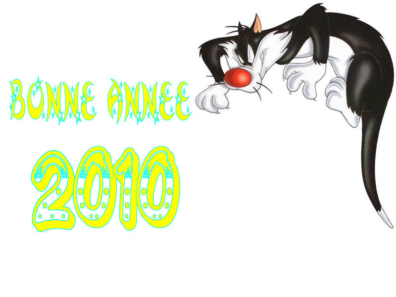 Bonne année 2010